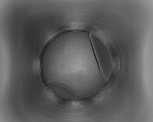 X0000110940684200906191231