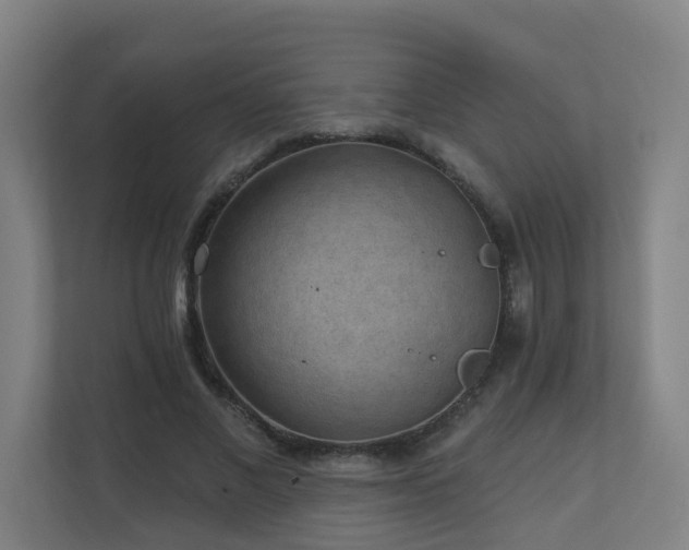 X0000110940685200906191231