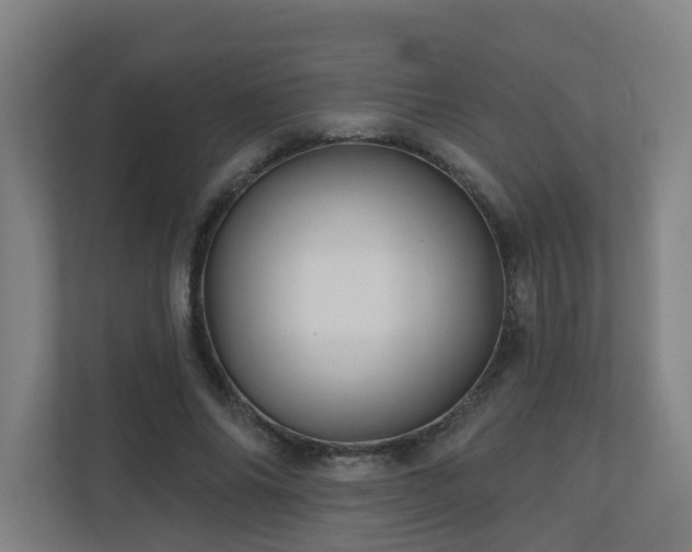 X0000110940686200906191231