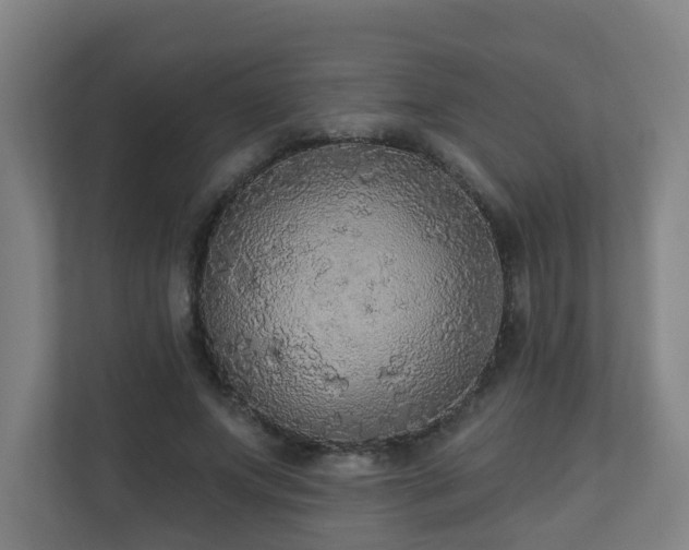 X0000110940687200906191231