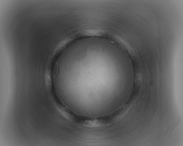 X0000110940688200906191231