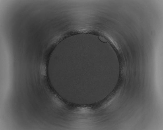 X0000110940689200906191231