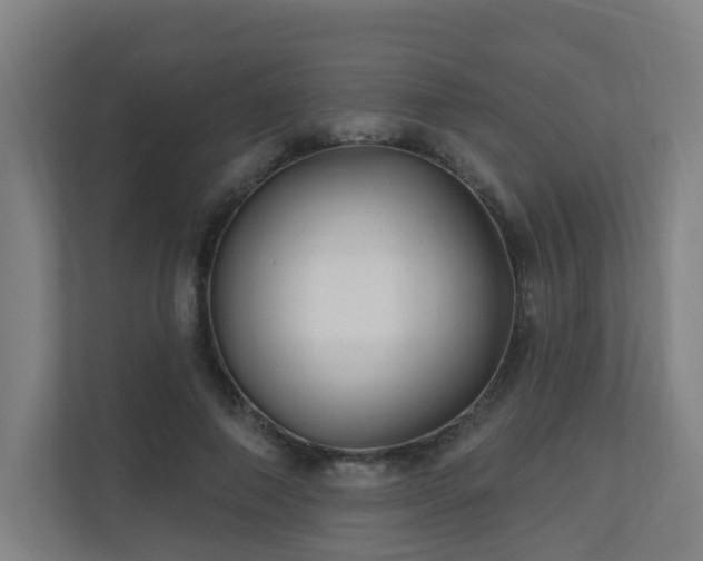 X0000110940690200906191231