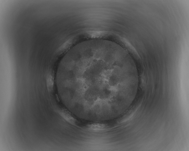 X0000110940691200906191231