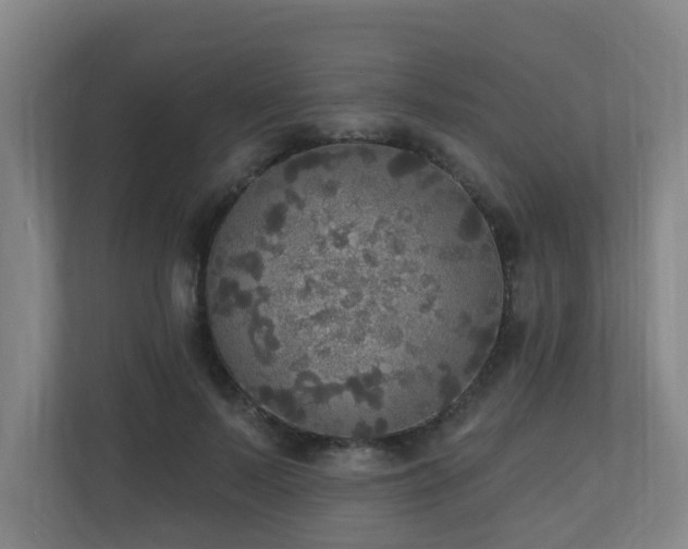 X0000110940695200906191231