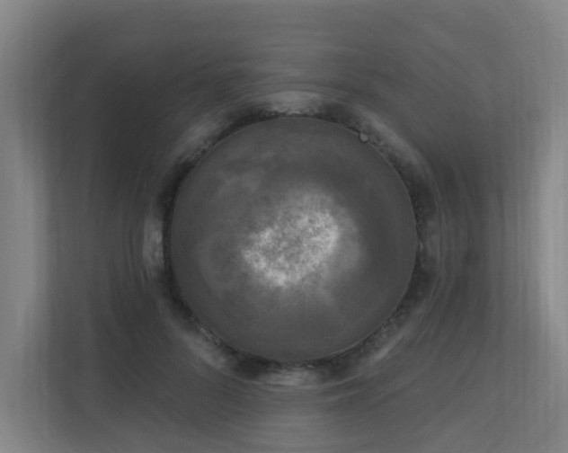 X0000110940696200906191231