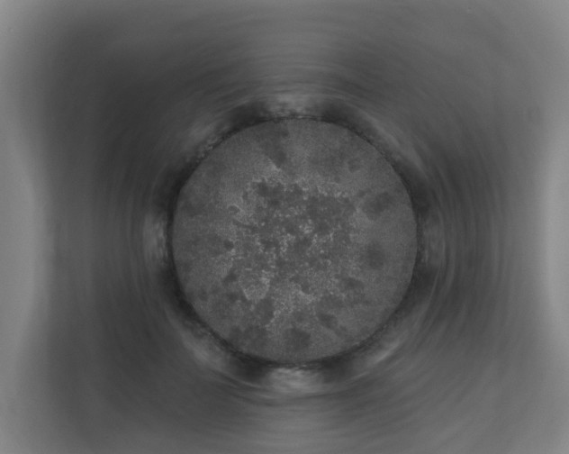 X0000110940699200906191231