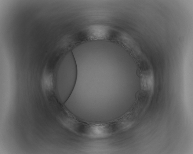 X0000110940701200906191231