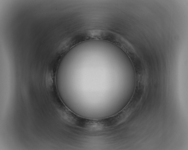 X0000110940702200906191231