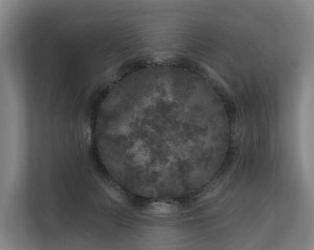 X0000110940703200906191231