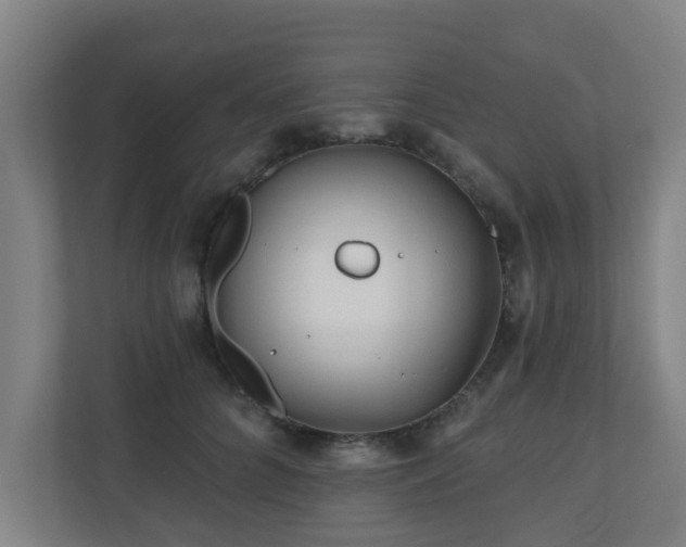 X0000110940704200906191231