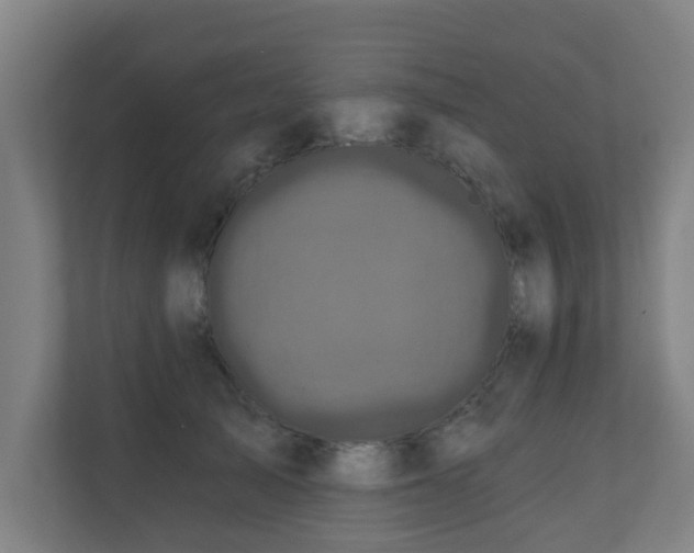 X0000110940705200906191231