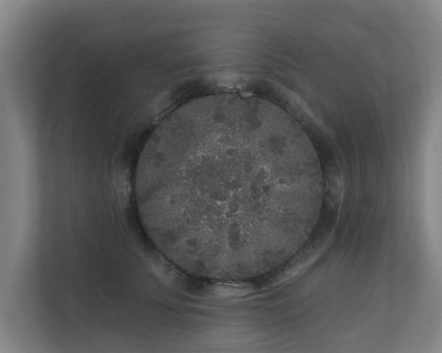 X0000110940707200906191231