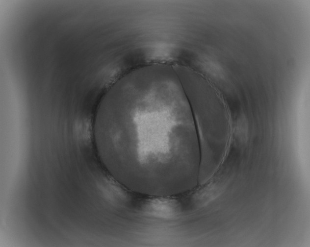 X0000110940708200906191231