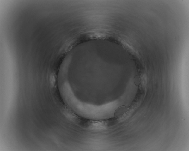 X0000110940709200906191231