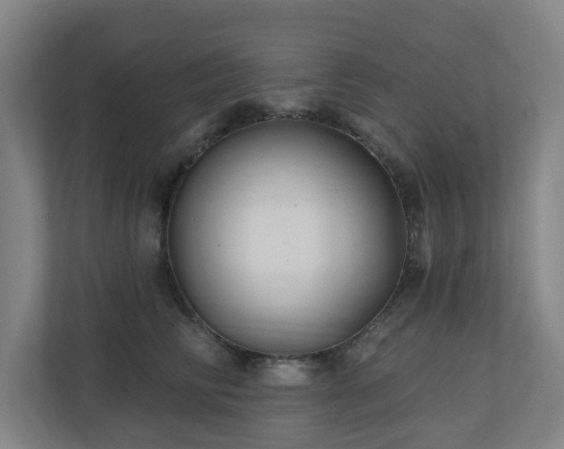 X0000110940710200906191231