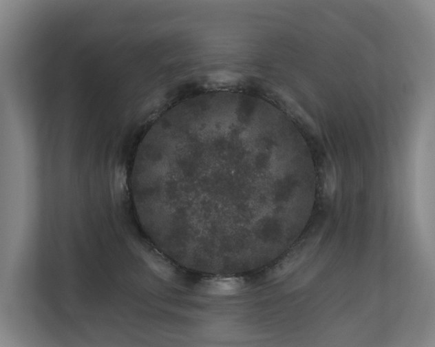 X0000110940711200906191231