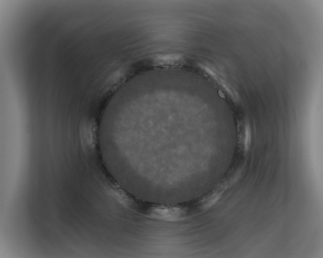 X0000110940712200906191231