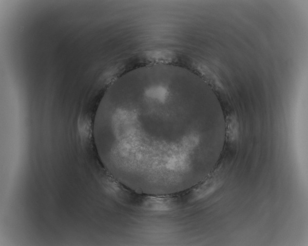 X0000110940713200906191231