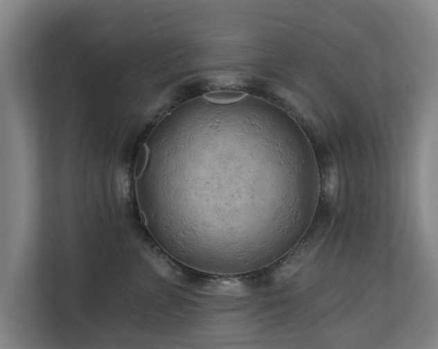 X0000110940715200906191230