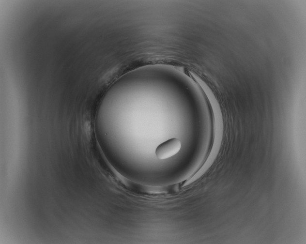 X0000110940716200906191230