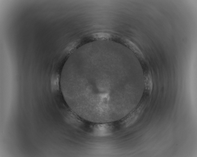 X0000110940717200906191230