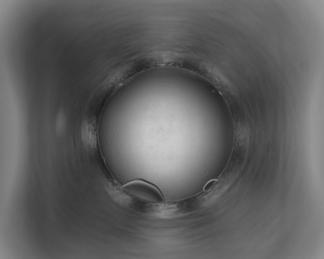 X0000110940719200906191230