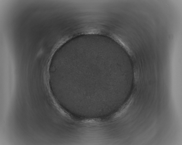 X0000110940721200906191230