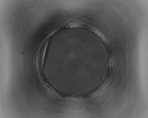 X0000110940722200906191230