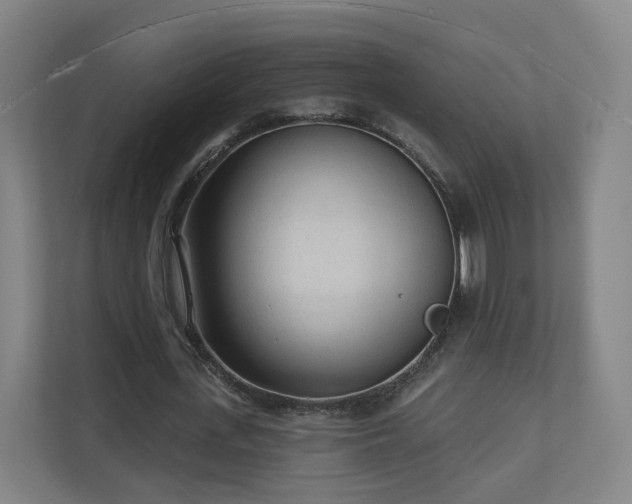 X0000110940723200906191230