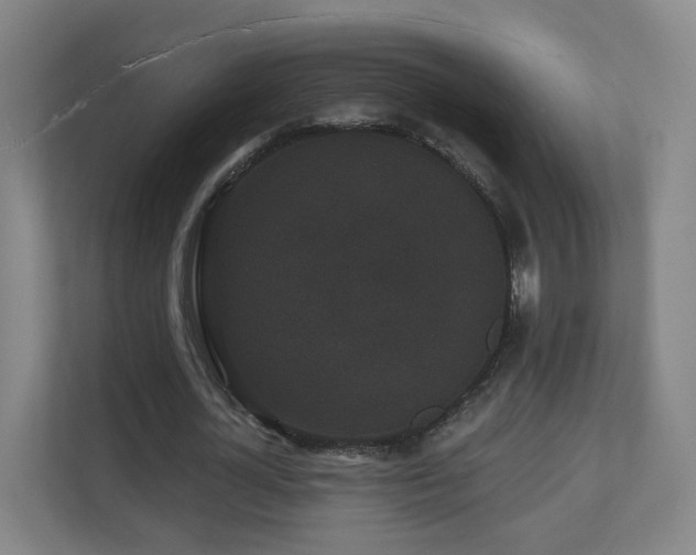 X0000110940724200906191230