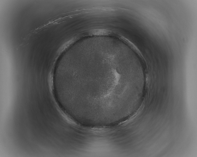 X0000110940725200906191230