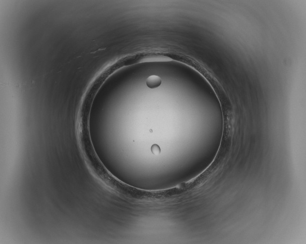 X0000110940726200906191230