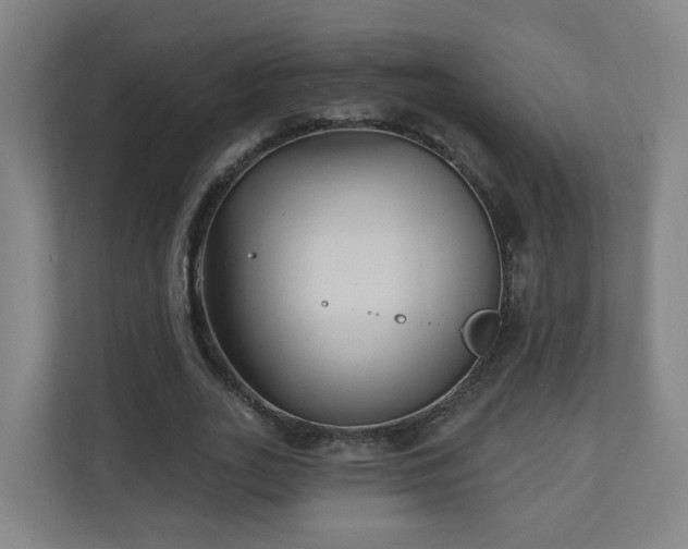 X0000110940727200906191230