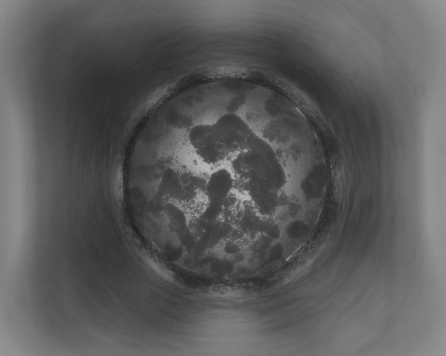 X0000110940729200906191230