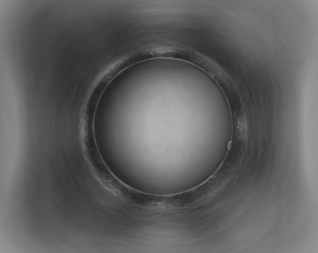 X0000110940732200906191230