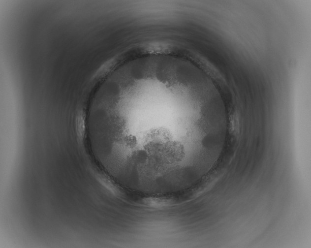 X0000110940733200906191230