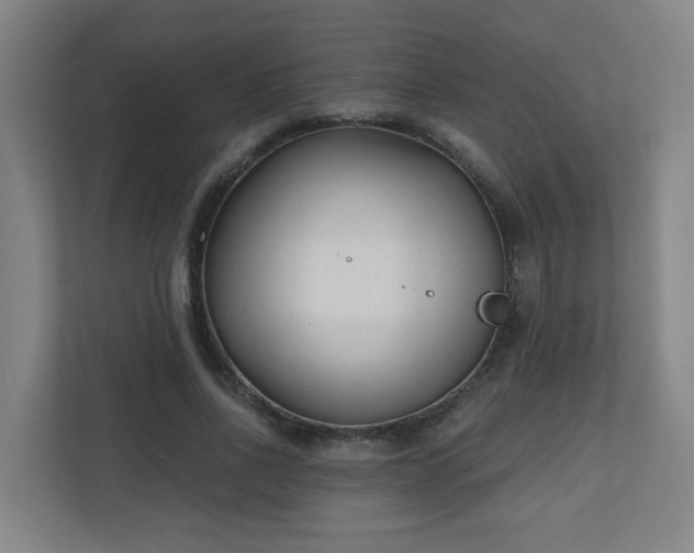 X0000110940734200906191230