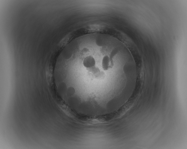 X0000110940737200906191230