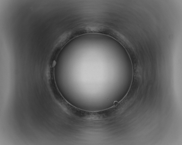 X0000110940738200906191230