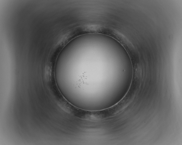 X0000110940739200906191230