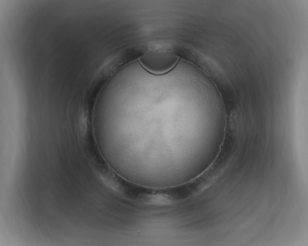 X0000110940741200906191230