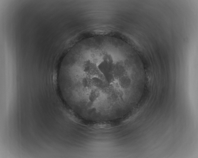 X0000110940745200906191230