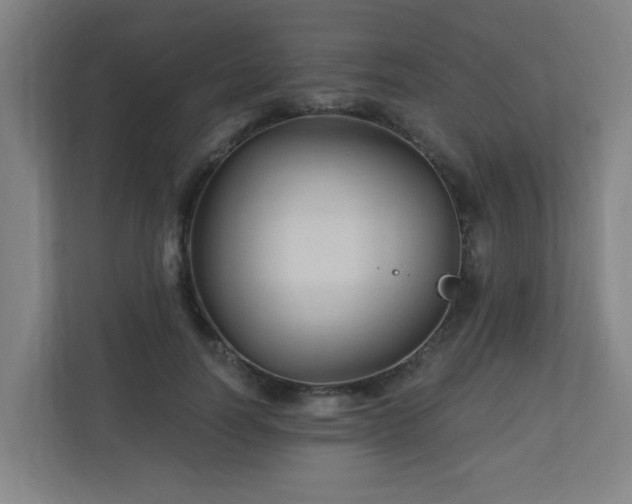 X0000110940746200906191230