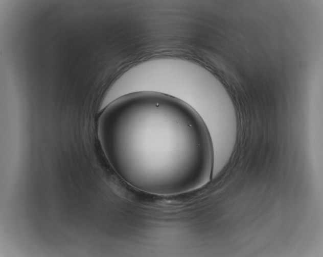 X0000110940748200906191230