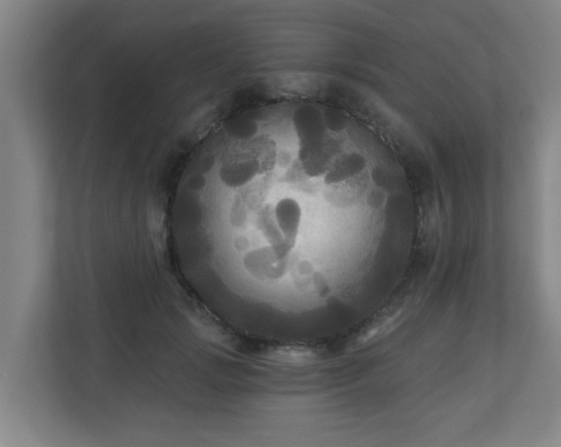 X0000110940749200906191230