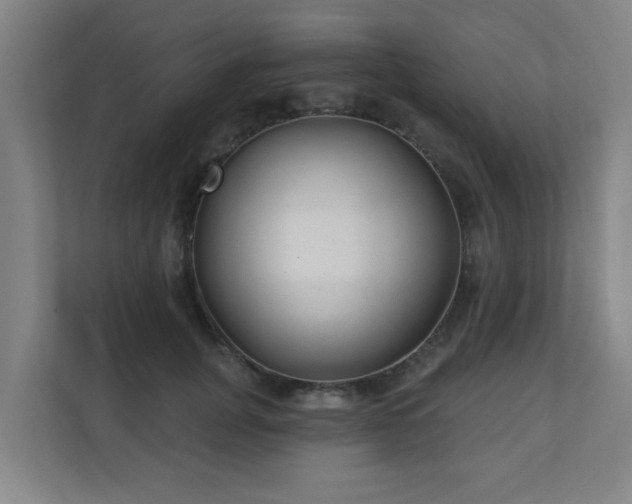 X0000110940751200906191230