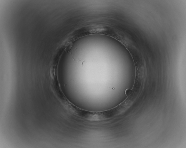 X0000110940755200906191230