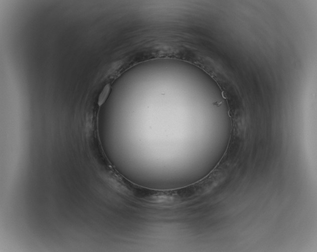 X0000110940756200906191230