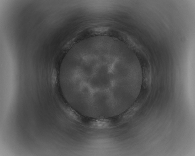 X0000110940758200906191230